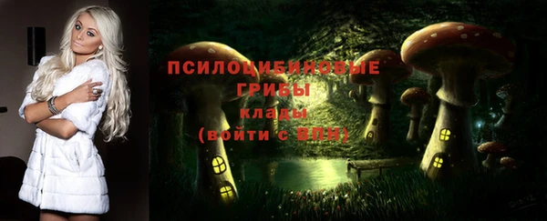 MDMA Каменка