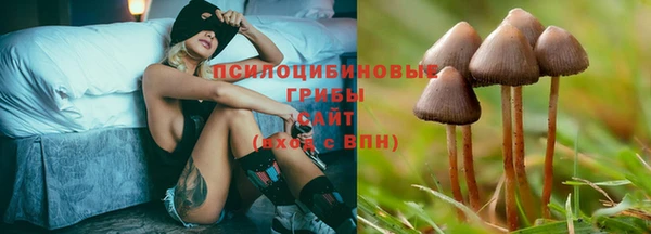 дмт Каменногорск