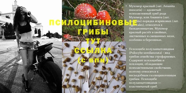 Альфа ПВП Каменск-Шахтинский