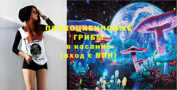 MDMA Каменка