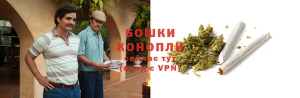 дмт Каменногорск